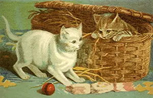 Pokes: Kitten in a Basket