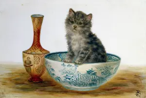 Bessie: Kitten in a blue and white bowl with vase