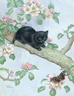 Hopking: Kitten on a Branch