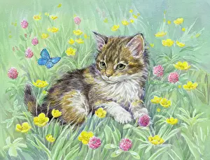 Buttercups: Kitten with Butterfly, buttercups and clover