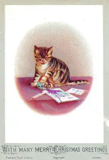 Inkpot: Kitten on a Christmas card
