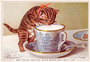 Lapping: Kitten with cup of milk on a Christmas card