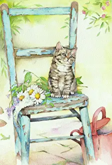 Peeling: Kitten on Garden Chair with Watering Can