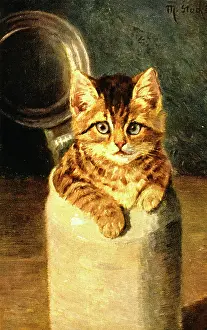 Stein: Kitten in a German beer jar