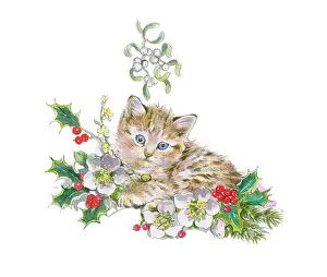 Matthes: Kitten with holly and Christmas roses