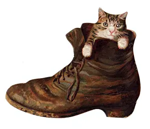 Laceup: Kitten inside an old boot on a greetings card