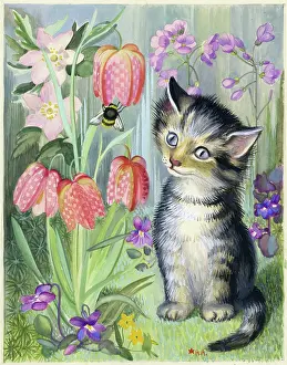 Heda: Kitten looking at a bee on fritillary