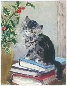 Orton: Kitten on a pile of books