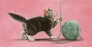 Felines: Kitten plays with Ball of Yarn