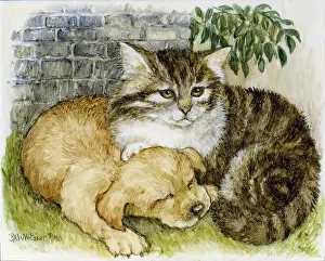 Curled: Kitten and Puppy