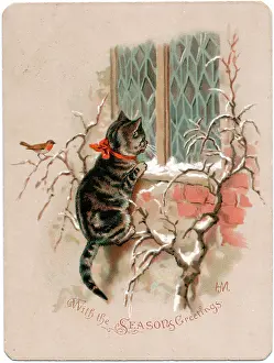 Kitten and robin on a Christmas card