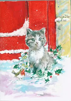 Matthes: Kitten and robin in the snow with red door