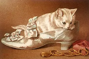 Slipper: Kitten in Satin Shoe