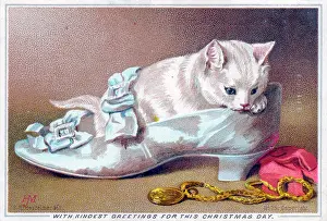 Buckles: Kitten in a shoe on a Christmas card