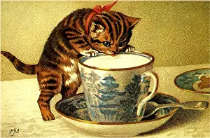 Sipping: Kitten Sipping Milk