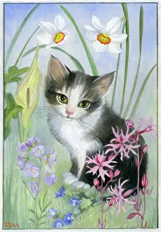 Narcissi: Kitten sitting amongst wild flowers