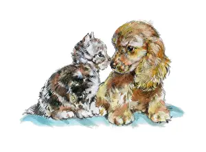 Matthes: Kitten and Spaniel puppy touching noses