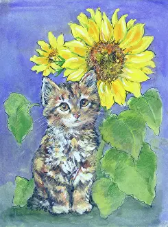 Matthes: Kitten and Sunflower