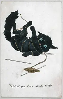 Didn: KITTEN TANGLED IN WOOL