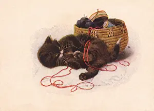 Entangled: Kitten Tangled in Yarn