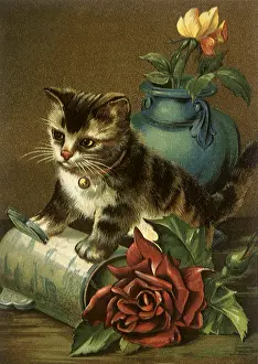 Tubular: Kitten Upturning Vase