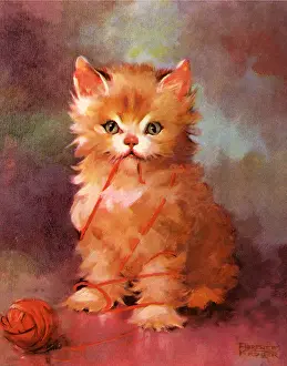 Tangled: Kitten and Yarn