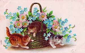 Forgetmenot: Kittens with a basket of flowers on a postcard