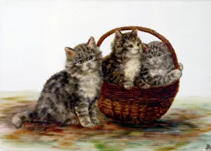 Bessie: Kittens in a Basket ' three kittens