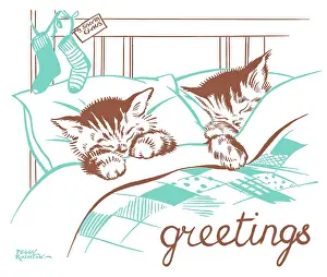 Rushton: Two kittens in bed with Christmas stockings