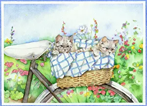 Flavell: Two Kittens in a Bicycle Basket