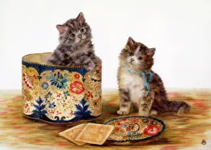 Bessie: Kittens in the Biscuit Box ' two kittens