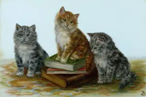 Bessie: Three Kittens ' with three books