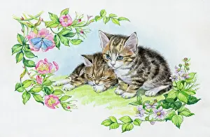 Brambles: Kittens with butterfly on wild roses & brambles