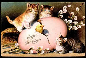 Catkin: Kittens and chick with a large Easter egg