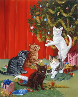 Kittens at Christmas