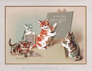 Sums: Four kittens on a Christmas card
