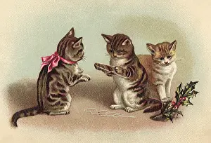 Sprig: Kitten's Cradle