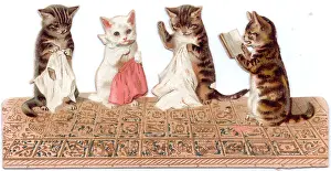 Aloud: Four kittens on a cutout greetings card