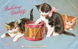 Drumsticks: Kittens with a drum on a birthday postcard