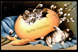 Catkin: Three kittens and an egg on an Easter card