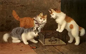 Unfortunate: Kittens Eye Mouse
