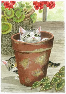Seek: Two Kittens with a flower pot