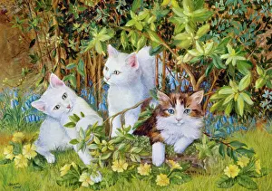 Hanrahan: Kittens amongst the flowers