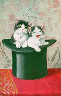 Two kittens in a top hat on a greetings postcard
