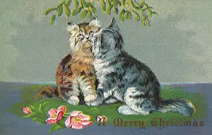 Cuddle: Kittens Kissing Beneath Mistletoe
