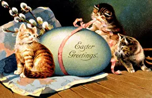 Bows: Three kittens and a large egg on an Easter card
