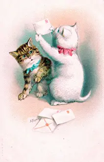 Envelopes: Two kittens with letters on a postcard