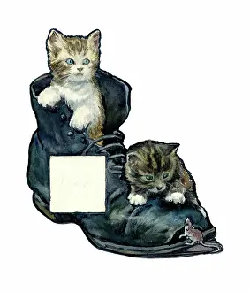 Spurr: Two Kittens in an old boot