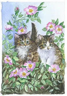 Gilda: Two Kittens with Pink Wild Roses
