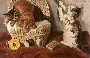 Spools: Kittens at Play